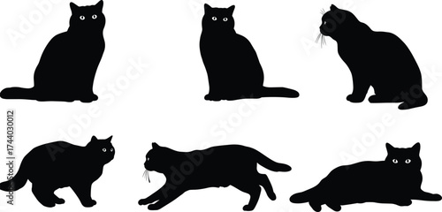 Black cat silhouette collection, sitting, walking, crouching, lying, whiskers detail, white eyes, domestic pet vector, feline posture, cad drawing flat vector illustration
