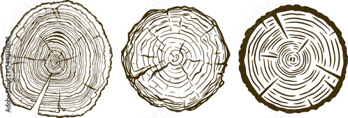 Three distinct tree stump cross sections showing growth rings and natural imperfections in a row