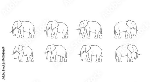 Eight stylized line drawings of elephants in various poses and angles vector