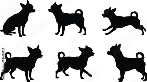 Chihuahua dog silhouettes, pet vector illustration, canine outline artwork, black animal clipart, small breed design, sitting standing running walking poses collection