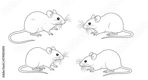 Four small mice facing each other in a whimsical drawing.