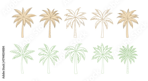 Ten silhouette illustrations of palm trees in various styles.