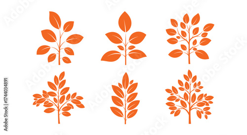 A collection of six stylized orange leaf branches.
