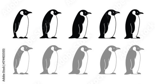 A sequence of black and white penguins and a sequence of grey penguins.