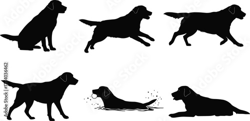 Labrador Retriever dog silhouette vector, sitting standing walking running swimming lying poses, black canine outline illustration, pet animal posture clipart, domestic dog breed design element