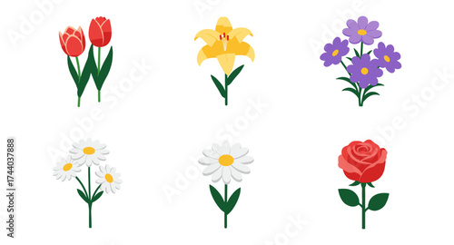 Colorful flower collection featuring rose, tulip, lily, daisy, and aster on white background