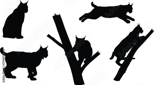 Black lynx silhouette collection, sitting, walking, leaping, climbing on tree branches, wild cat vector, animal posture, wildlife design, cad drawing flat vector illustration