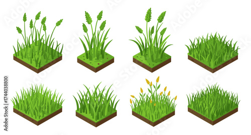 Isometric grass and wheat blocks set: nature elements for game design and animation