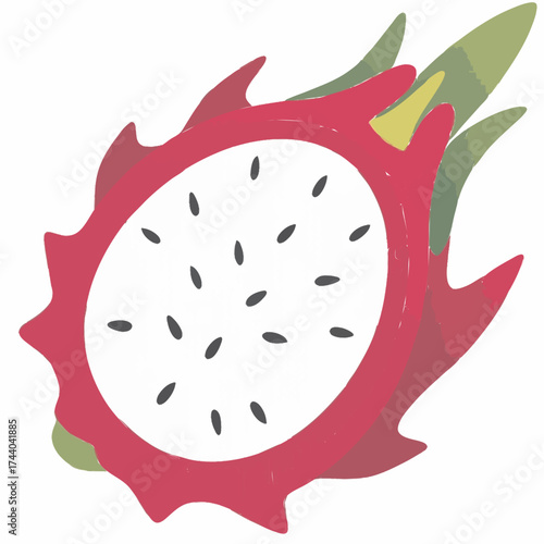 red dragon fruit vector illustration 