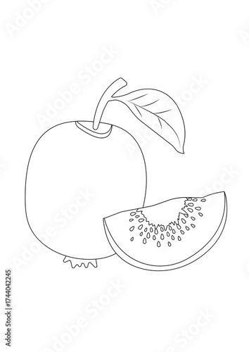 A simple outline drawing of a kiwi with a slice and leaf. Minimalistic illustration with a black outline for coloring books, packaging, printed materials, logo design, and educational materials.
