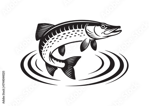 Fish Icon, Fish pike vector Design