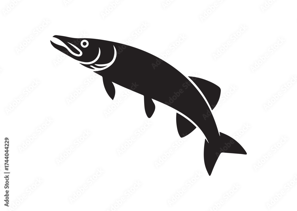 Obraz premium Fish Icon, Fish pike vector Design