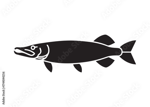 Fish Icon, Fish pike vector Design