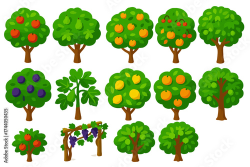 Vibrant Fruit Trees. Isometric vector illustration set Fruit Trees: apple tree, pear tree, peach tree, cherry tree, plum tree, fig