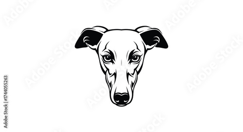Black and white greyhound dog face logo canine mammal