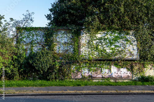 Old abandoned roadside billboard overgrown with wild vegetation