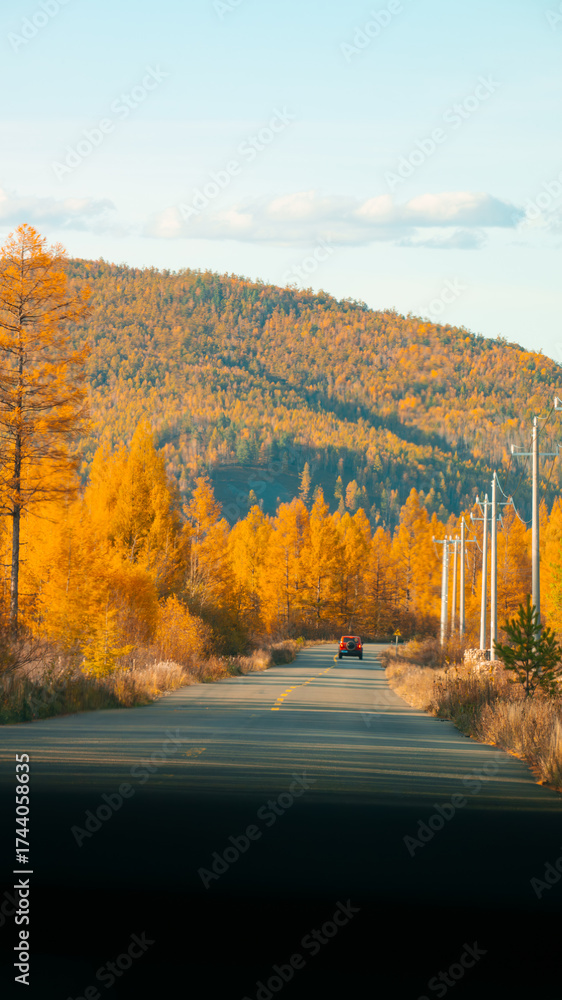 Obraz premium autumn in the mountains