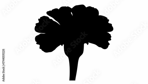 Silhouette of a flower with multiple petals and a stem against a white background in a simple design