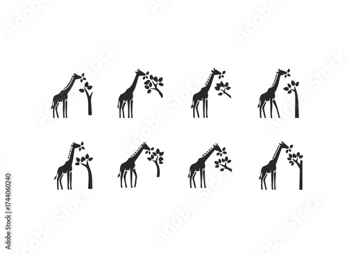 Set of Giraffe Icons Eating Leaves from Trees.