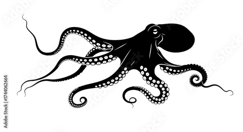 Black silhouette of an octopus isolated PNG with Transparent Background