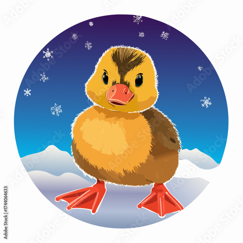 Ein kleines Entenküken sitzt oder watschelt im Schnee