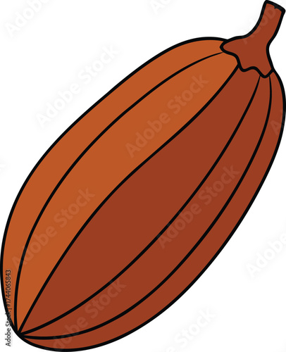 Brown cocoa bean pod vector illustration scalable graphic element isolated transparent background