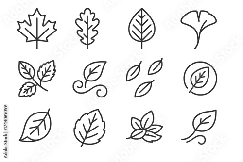 Line Style Leaf Icons. Line style icons of leaf and seasonal shapes: maple leaf, oak leaf, elm leaf, ginkgo leaf; cluster of