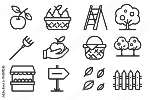 Orchard Line Icons. Line style icons of orchard and fruit picking: apple on branch, basket of pears, fruit ladder, orchard tree;