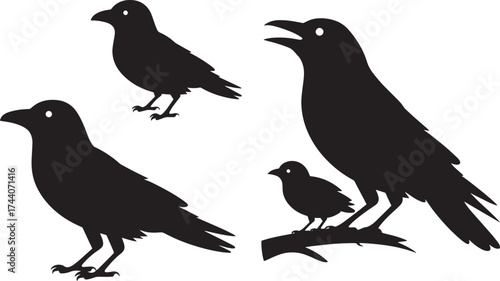 Black crow bird silhouettes set isolated on transparent background, nature wildlife raven