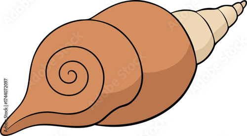 Seashell spiral conch illustration vector art elegant marine nature organic shape design scalable eps transparent background