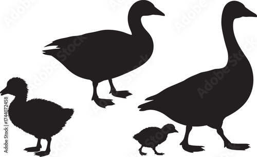 Geese and goslings family silhouettes set black isolated on transparent background
