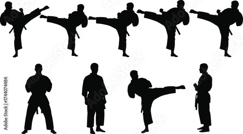 Martial arts silhouette illustration, high kick and stance poses, black and white vector design, combat sport concept, dynamic movement artwork