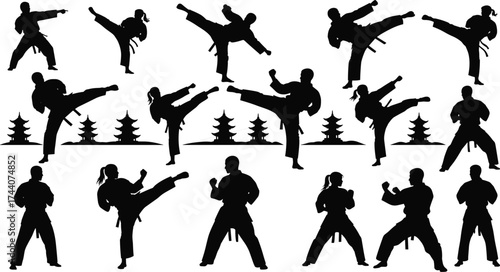 Martial arts silhouette illustration, karate and taekwondo poses, black and white fighters, traditional pagoda background, dynamic kicks, combat sport vector