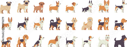Dog breeds collection cartoon style side profile illustrations, flat vector drawing, cute pets, domestic animals, canine diversity, educational art, playful design