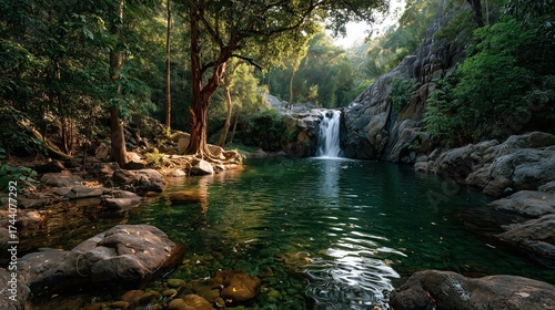 View of tropical rainforest in Thailand, digital illustration