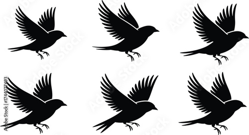 Elegant flying bird silhouettes for modern logo or icon designs
