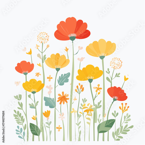 Hintergrund Klatschmohn