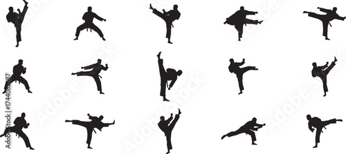 Martial arts action silhouette collection dynamic kicks and strikes fighting poses for combat sports and self-defense training vector