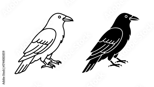 Wallpaper Mural Stylized Raven Crow Birds in Black Outline and Solid Silhouette Torontodigital.ca
