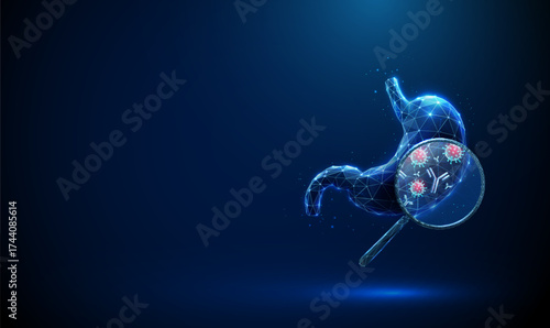 3d blue human stomach with magnifying glass showing viruses, antibodies inside. Immune response analysis, detection of gastric infections concept.