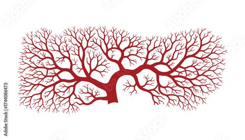 abstract red tree branches illustration