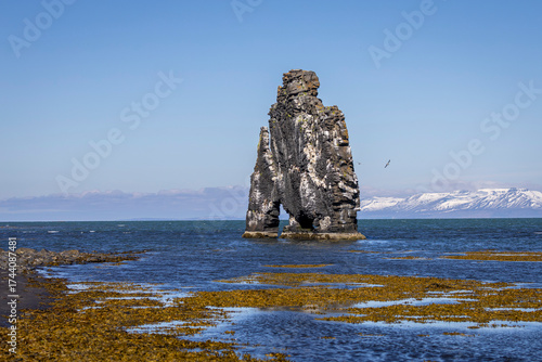 sea stack emerging from blue ocean, Hvitserkur, North Iceland