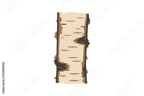 Birch tree bark texture isolated