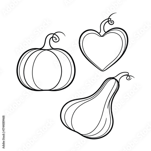 Three decorative gourds with swirling stems are ready for harvest.