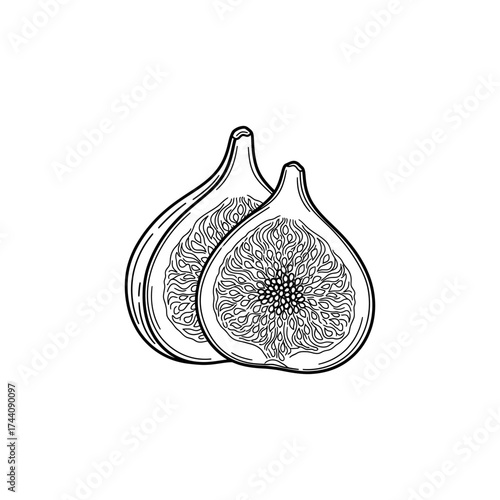 Sliced figs reveal their intricate interior in a detailed black and white drawing, showcasing the fruit's unique texture and natural beauty.