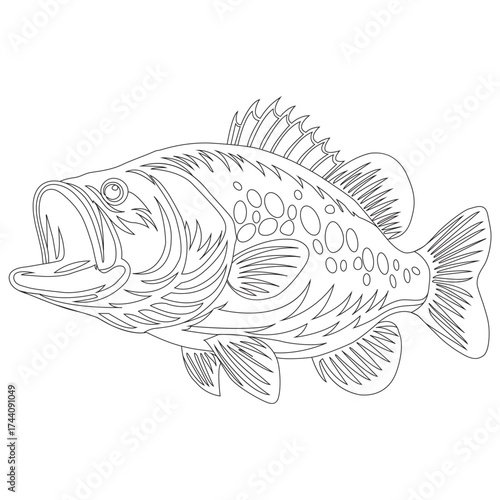sea bass fish vector silhouette