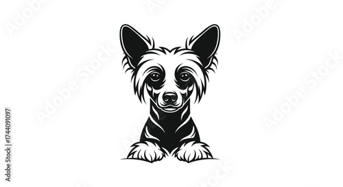 Black and white small dog paws illustration canine