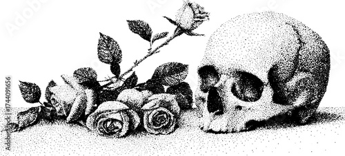 Intricate dotwork stippling illustration of a broken skull with roses for artistic design