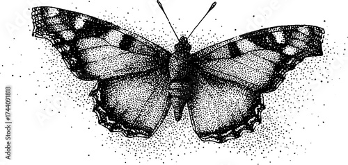 Detailed dotwork butterfly illustration with stippling technique for art and design