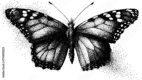 Intricate butterfly design in dotwork stipple technique for art and decoration